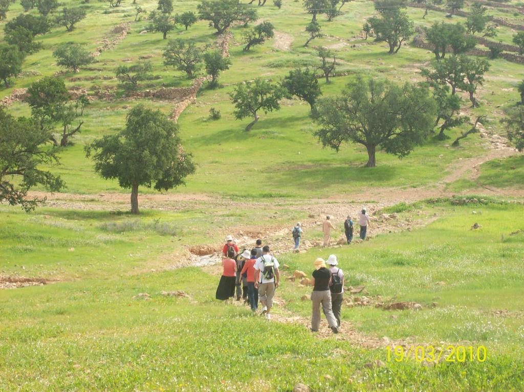 Oulad Teïma Gite Souss מראה חיצוני תמונה